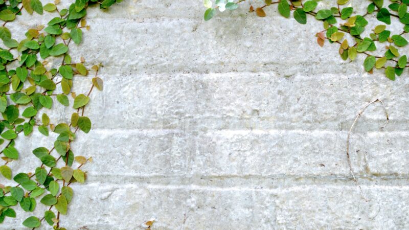 A house wall covered with imitation stone panel