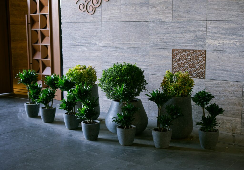 A hallway covered in stone veneer and with plants in pots