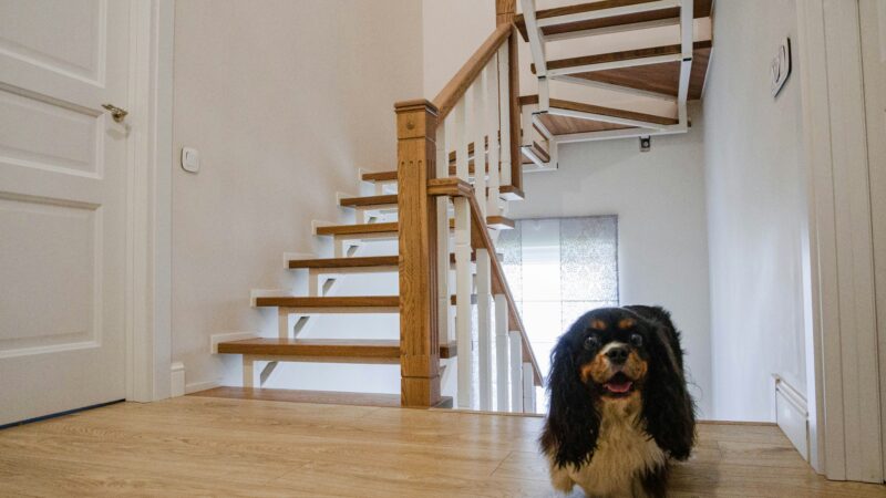 Hardwood floor in living room with dog