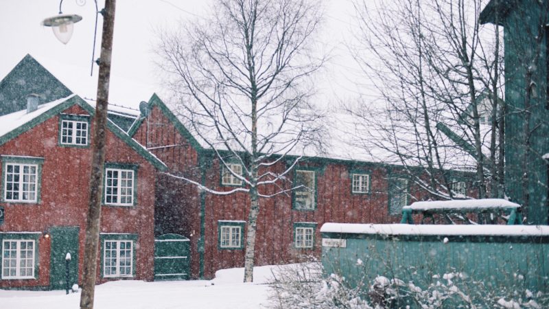 A house whit a lot of windows and doors
