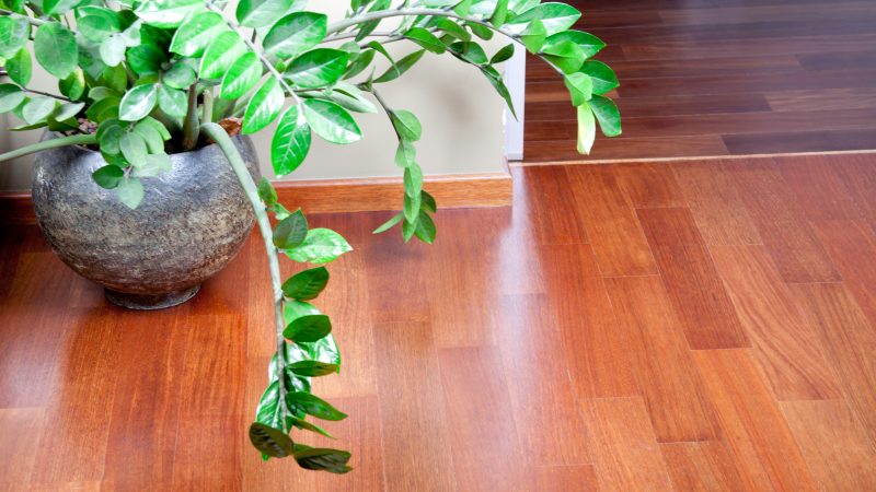 flower on the hardwood floor