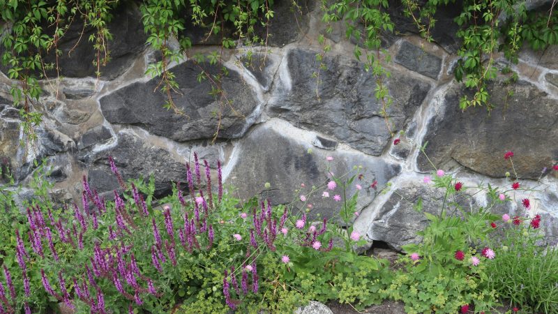 Stone in backyard