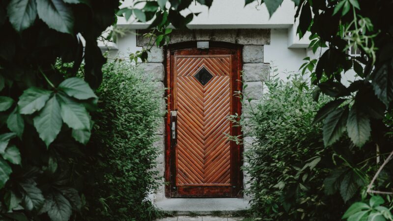 A Brown Steel Entry Doors